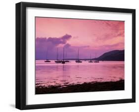 Clifden Bay, Connemara, Ireland-null-Framed Photographic Print