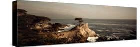 Cliff along the Sea, Seven Mile Beach, California, USA-null-Stretched Canvas