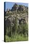 Cliff Along the Trampas Lakes Trail in the Pecos Wilderness, Sangre De Cristo Mountains-null-Stretched Canvas