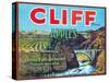 Cliff Apple Label - Chelan Falls, WA-Lantern Press-Stretched Canvas