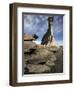 Cliff, Comodoro Rivadavia, Argentina, South America-Walter Rawlings-Framed Photographic Print