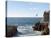 Cliff Diver Diving From El Mirador at Paseo Claussen, Mazatlan, Mexico-Charles Sleicher-Stretched Canvas