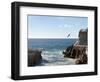 Cliff Diver Diving From El Mirador at Paseo Claussen, Mazatlan, Mexico-Charles Sleicher-Framed Photographic Print