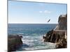 Cliff Diver Diving From El Mirador at Paseo Claussen, Mazatlan, Mexico-Charles Sleicher-Mounted Photographic Print