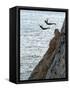 Cliff Divers, Guerrero, Mexico-Russell Gordon-Framed Stretched Canvas