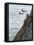 Cliff Divers, Guerrero, Mexico-Russell Gordon-Framed Stretched Canvas