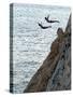 Cliff Divers, Guerrero, Mexico-Russell Gordon-Stretched Canvas