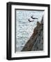 Cliff Divers, Guerrero, Mexico-Russell Gordon-Framed Photographic Print