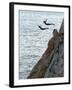 Cliff Divers, Guerrero, Mexico-Russell Gordon-Framed Photographic Print