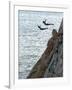 Cliff Divers, Guerrero, Mexico-Russell Gordon-Framed Photographic Print