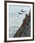 Cliff Divers, Guerrero, Mexico-Russell Gordon-Framed Photographic Print