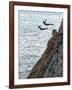 Cliff Divers, Guerrero, Mexico-Russell Gordon-Framed Photographic Print