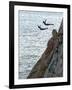 Cliff Divers, Guerrero, Mexico-Russell Gordon-Framed Photographic Print