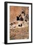 Cliff Dwellings & Caves-Wilsilver-Framed Photographic Print