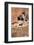 Cliff Dwellings & Caves-Wilsilver-Framed Photographic Print