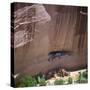 Cliff Dwellings under the Rock Face in the Canyon De Chelly, Arizona, USA-Tony Gervis-Stretched Canvas