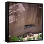 Cliff Dwellings under the Rock Face in the Canyon De Chelly, Arizona, USA-Tony Gervis-Framed Stretched Canvas