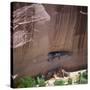 Cliff Dwellings under the Rock Face in the Canyon De Chelly, Arizona, USA-Tony Gervis-Stretched Canvas