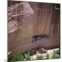 Cliff Dwellings under the Rock Face in the Canyon De Chelly, Arizona, USA-Tony Gervis-Mounted Photographic Print