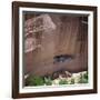 Cliff Dwellings under the Rock Face in the Canyon De Chelly, Arizona, USA-Tony Gervis-Framed Photographic Print