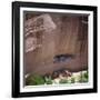 Cliff Dwellings under the Rock Face in the Canyon De Chelly, Arizona, USA-Tony Gervis-Framed Photographic Print