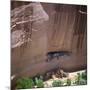 Cliff Dwellings under the Rock Face in the Canyon De Chelly, Arizona, USA-Tony Gervis-Mounted Photographic Print