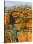 Cliff Face-Margaret Coxall-Stretched Canvas