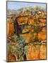 Cliff Face-Margaret Coxall-Mounted Premium Giclee Print