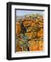 Cliff Face-Margaret Coxall-Framed Giclee Print