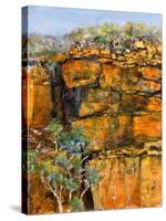 Cliff Face-Margaret Coxall-Stretched Canvas