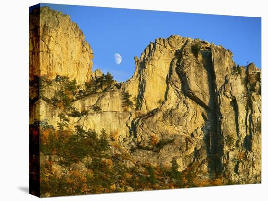 Cliff Formation, Monongahela National Forest West Virginia, USA-Charles Gurche-Stretched Canvas