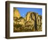 Cliff Formation, Monongahela National Forest West Virginia, USA-Charles Gurche-Framed Photographic Print