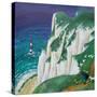 Cliff Hanger-Lisa Graa Jensen-Stretched Canvas