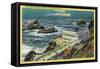 Cliff House and Seal Rocks - San Francisco, CA-Lantern Press-Framed Stretched Canvas