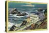 Cliff House and Seal Rocks - San Francisco, CA-Lantern Press-Stretched Canvas