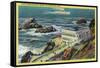 Cliff House and Seal Rocks - San Francisco, CA-Lantern Press-Framed Stretched Canvas