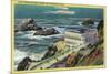 Cliff House and Seal Rocks - San Francisco, CA-Lantern Press-Mounted Art Print