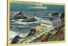 Cliff House and Seal Rocks - San Francisco, CA-Lantern Press-Stretched Canvas