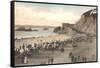 Cliff House and Seal Rocks-null-Framed Stretched Canvas