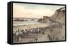 Cliff House and Seal Rocks-null-Framed Stretched Canvas