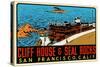 Cliff House Decal-null-Stretched Canvas