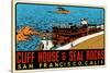 Cliff House Decal-null-Stretched Canvas