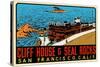 Cliff House Decal-null-Stretched Canvas