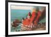 Cliff House in Flames, San Francisco, California-null-Framed Art Print