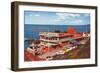 Cliff House, San Francisco, California-null-Framed Art Print