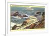 Cliff House, Seal Rocks, San Francisco, California-null-Framed Art Print