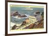 Cliff House, Seal Rocks, San Francisco, California-null-Framed Art Print