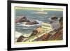 Cliff House, Seal Rocks, San Francisco, California-null-Framed Art Print