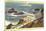 Cliff House, Seal Rocks, San Francisco, California-null-Mounted Premium Giclee Print