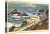 Cliff House, Seal Rocks, San Francisco, California-null-Stretched Canvas